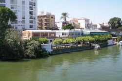 Bars entlang des Flusses Guadalquivir Sevilla Spanien