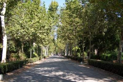 Parque de Maria Luisa Sevilla España