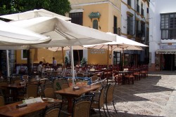 Typical tapas bars Seville Spain