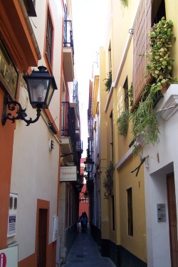 Quartiere di Santa Cruz Siviglia Spagna